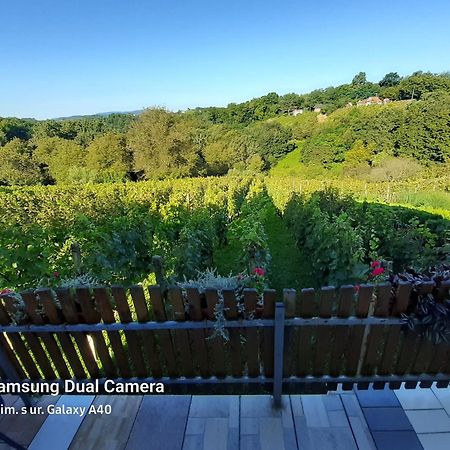 Kuca Za Odmor Vinica Breg Villa Varazdin Luaran gambar