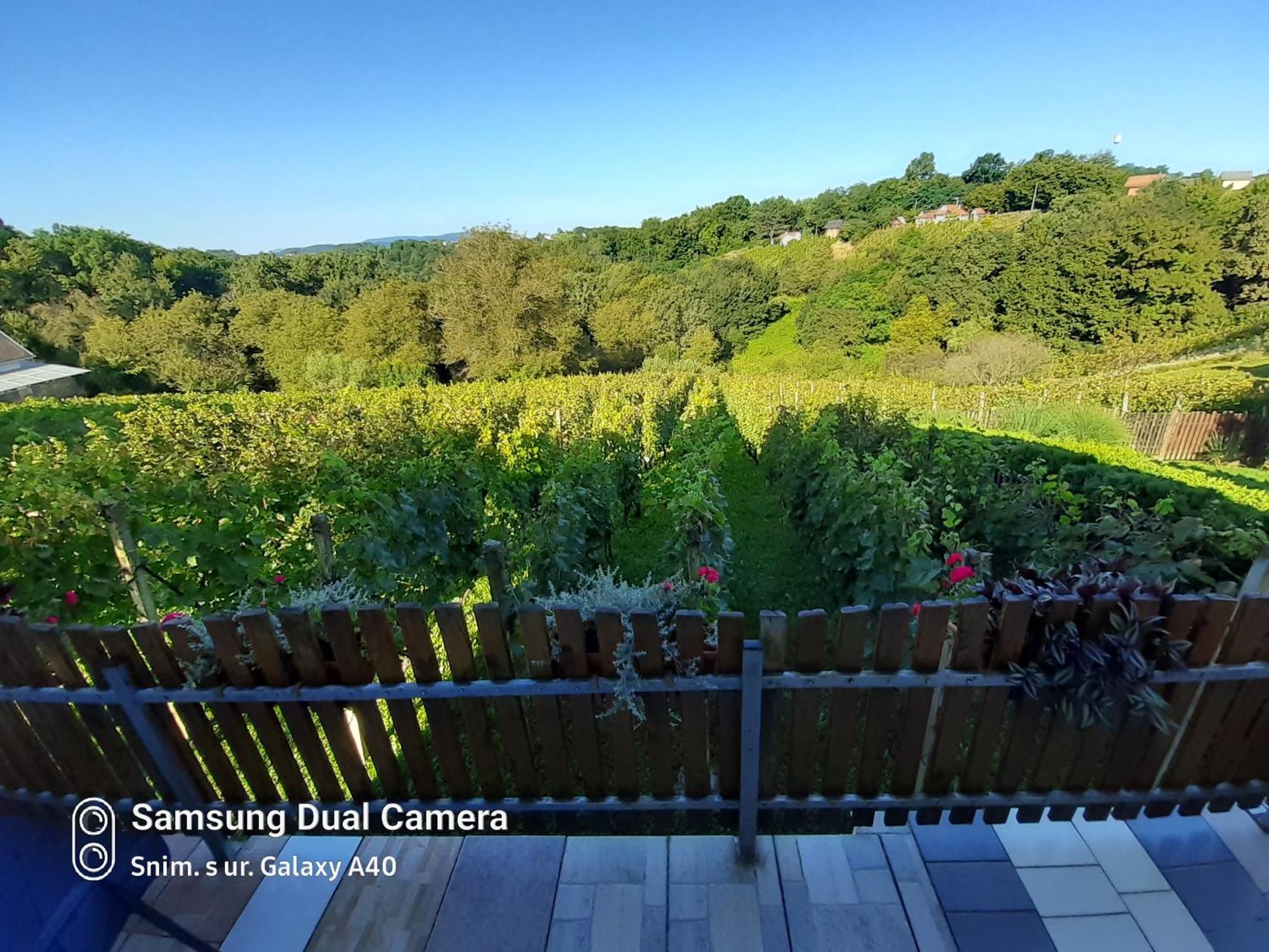 Kuca Za Odmor Vinica Breg Villa Varazdin Luaran gambar